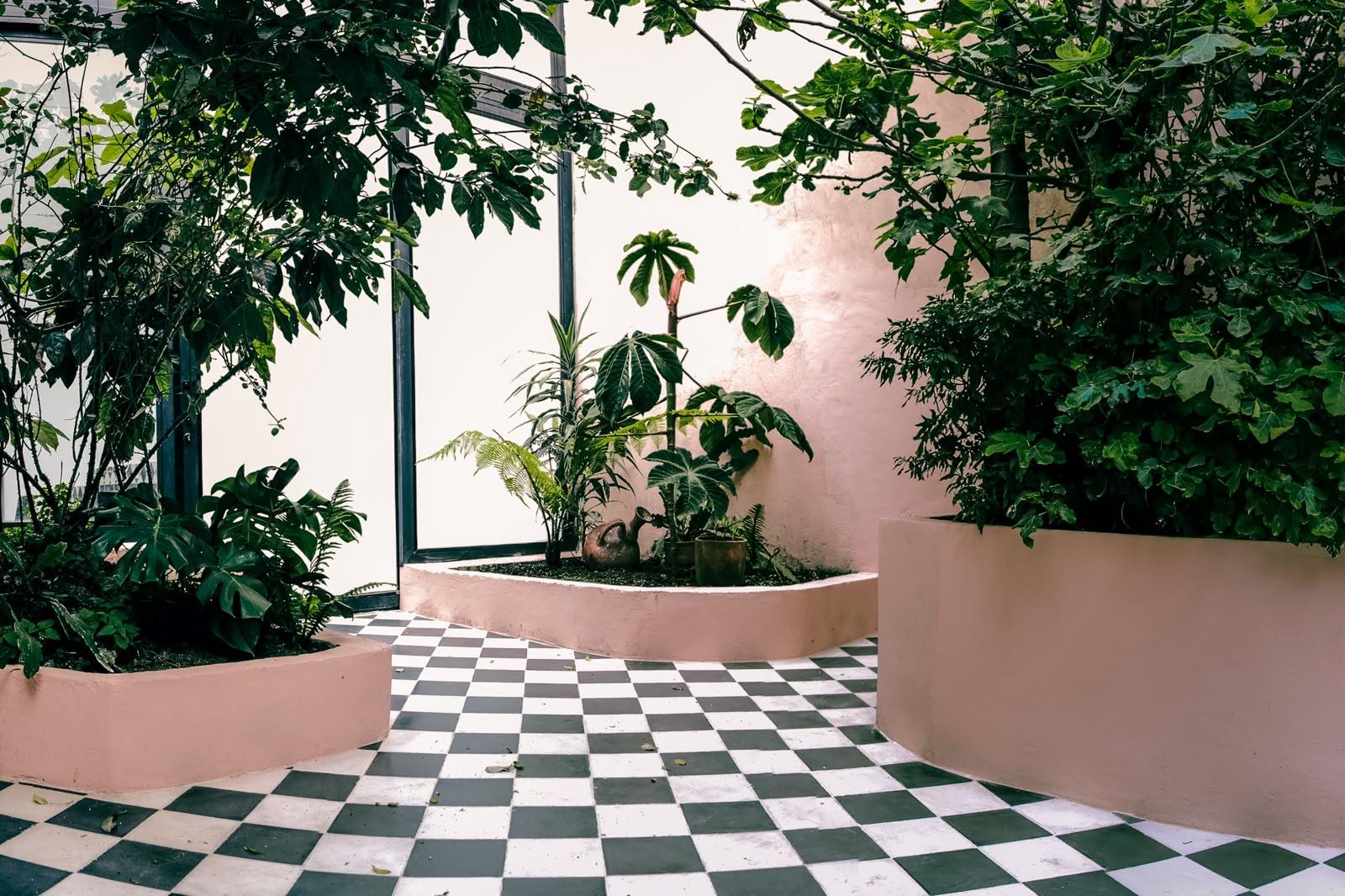 Patio interior con plantas